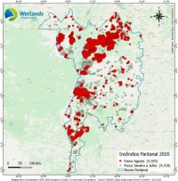 Documento de posição conjunta da Wetlands International, Mupan, CPP e INAU acerca dos incêndios no Pantanal