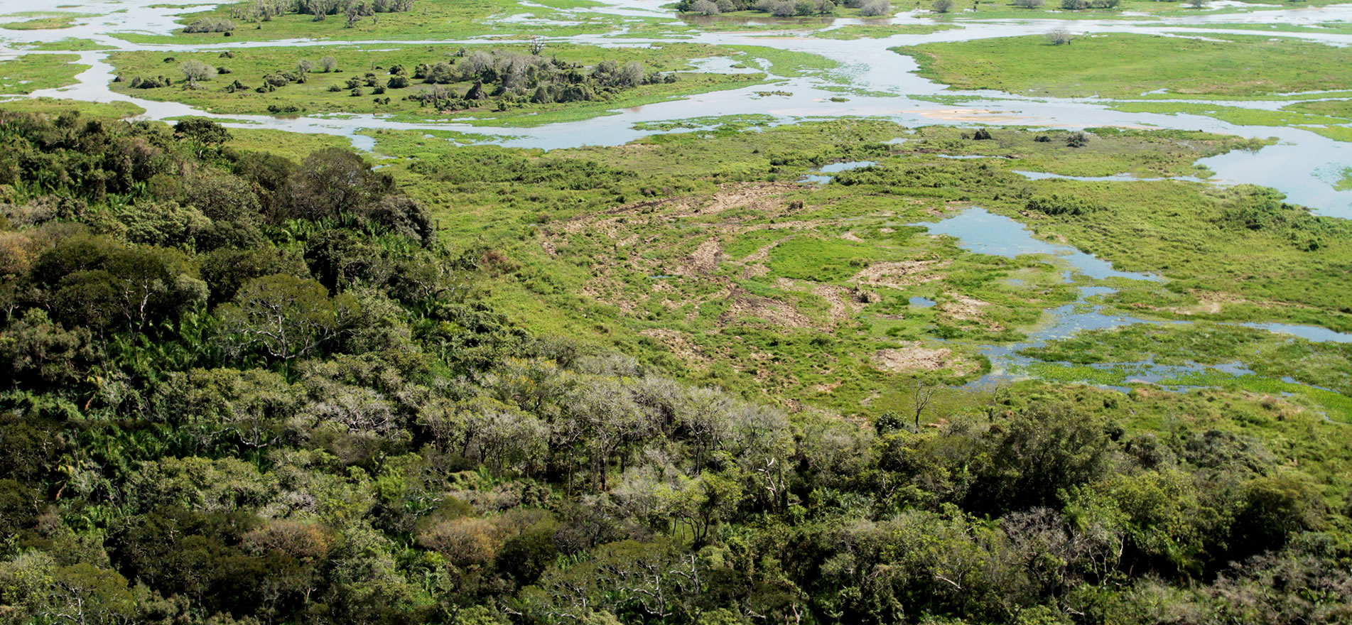 _pantanal_001