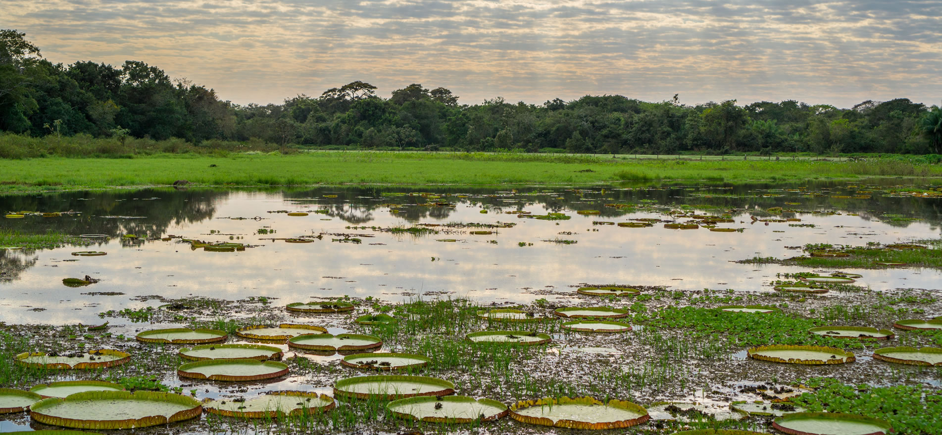 _pantanal_002