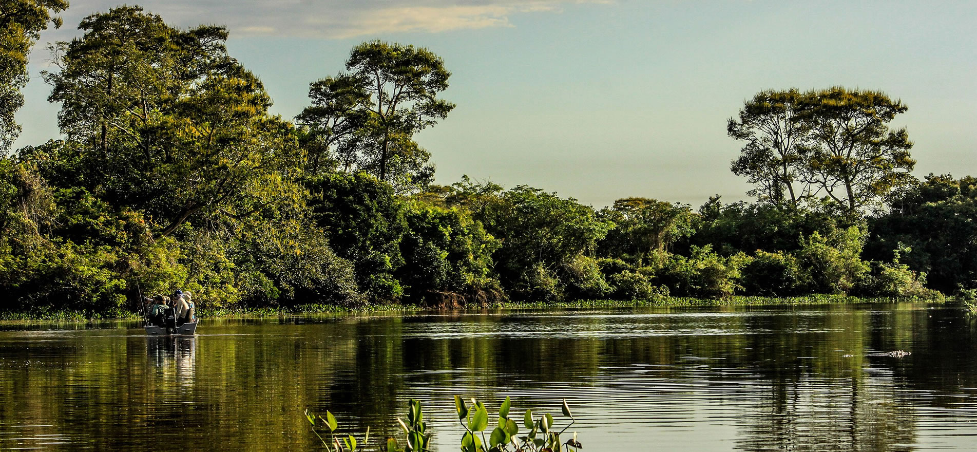 _pantanal_003
