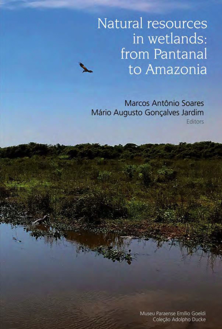 Natural resources in wetlands: from Pantanal to Amazonia